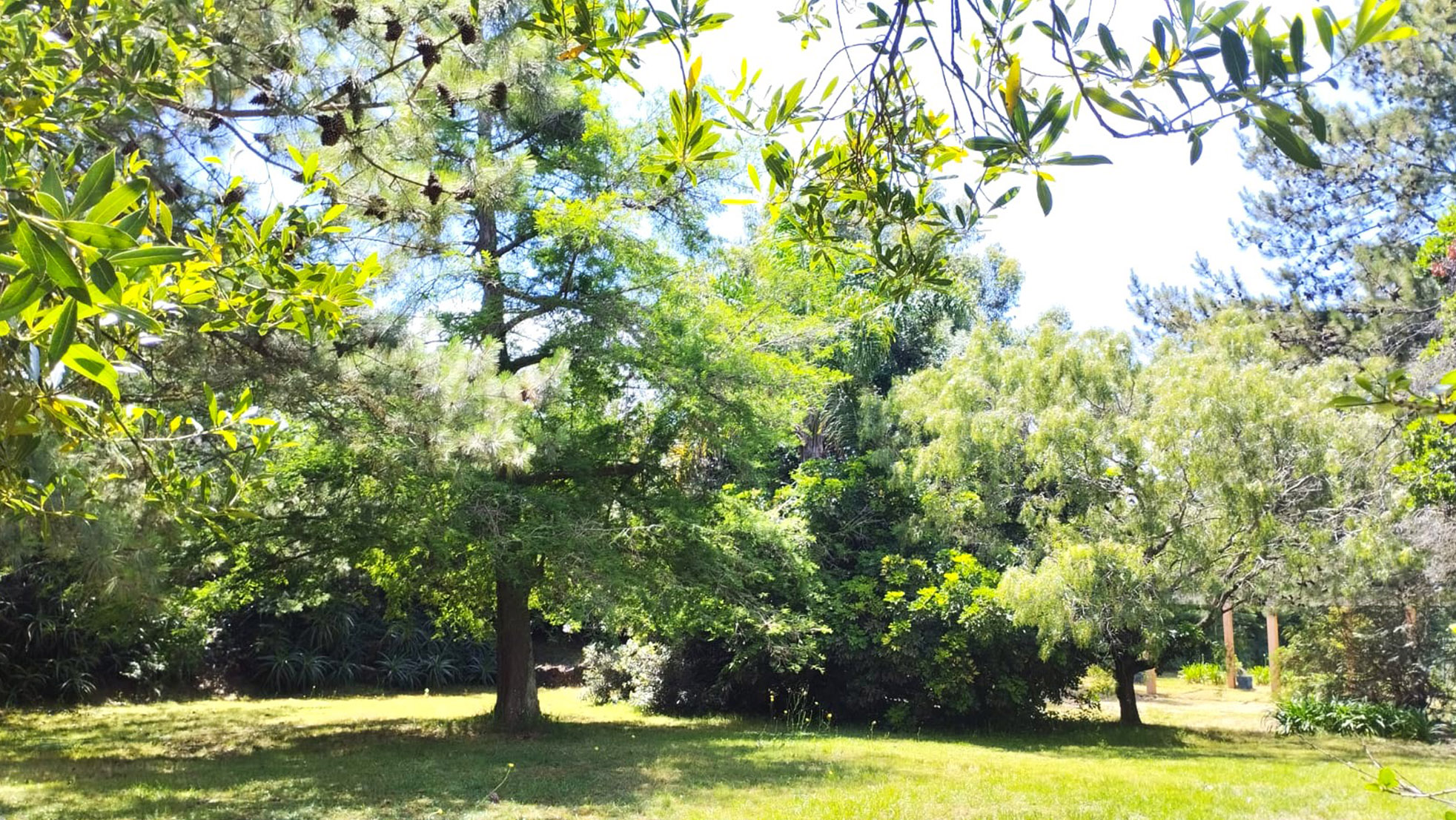 Foto Senda Marina - Apart Hotel